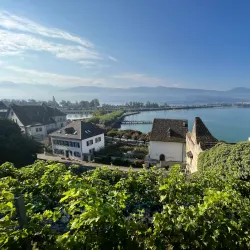 Rose Gardens (Rosengarten) - Rapperswil