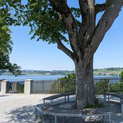 Rose Gardens (Rosengarten) - Rapperswil