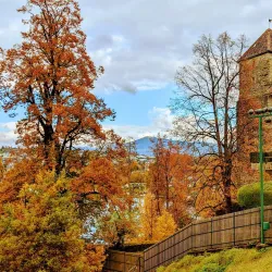 Rose Gardens (Rosengarten) - Rapperswil
