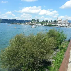 Seedamm - Rapperswil