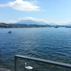 Seedamm - Rapperswil