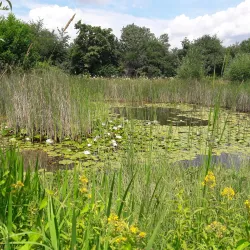 Birskopf Nature Reserve - Riehen