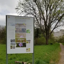 Birskopf Nature Reserve - Riehen