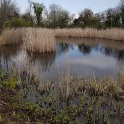 Birskopf Nature Reserve - Riehen