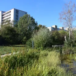 Birskopf Nature Reserve - Riehen