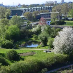 Birskopf Nature Reserve - Riehen