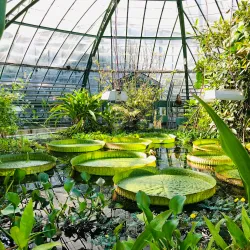 Botanical Garden of the University of Basel - Riehen