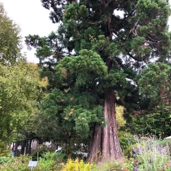 Botanical Garden of the University of Basel - Riehen