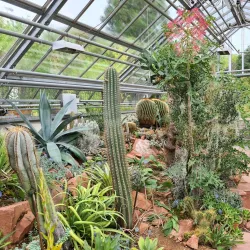 Botanical Garden of the University of Basel - Riehen