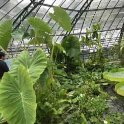 Botanical Garden of the University of Basel - Riehen