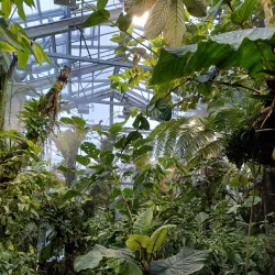 Botanical Garden of the University of Basel - Riehen