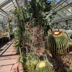 Botanical Garden of the University of Basel - Riehen