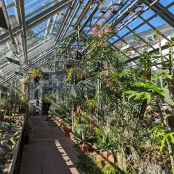 Botanical Garden of the University of Basel - Riehen