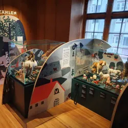 Museum Riehen - Riehen