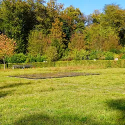 Riehen Cemetery - Riehen