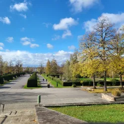 Riehen Cemetery - Riehen