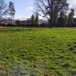 Riehen Cemetery - Riehen