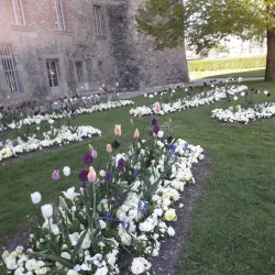 Parc de la Mairie - Rolle