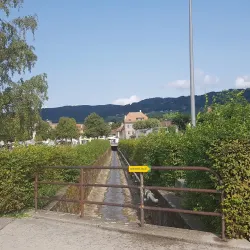 Parc de la Mairie - Rolle