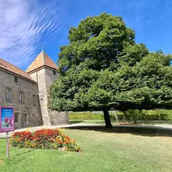 Parc de la Mairie - Rolle