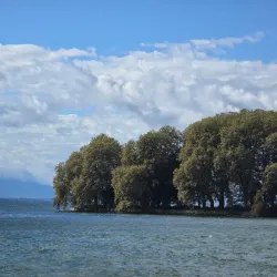 Parc de la Mairie - Rolle