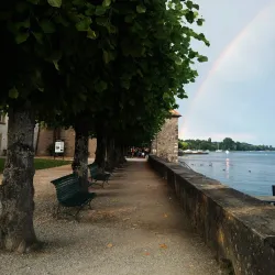 Rolle Castle (Château de Rolle) - Rolle