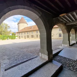 Rolle Market - Rolle