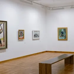 Museum zu Allerheiligen - Schaffhausen