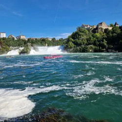Rhine Falls - Schaffhausen