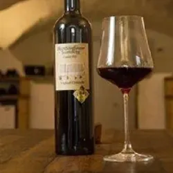 Vineyards of Schaffhausen - Schaffhausen