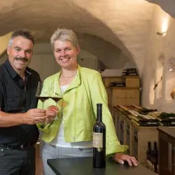 Vineyards of Schaffhausen - Schaffhausen