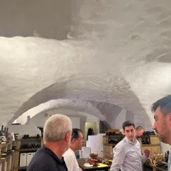 Vineyards of Schaffhausen - Schaffhausen