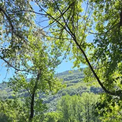 Les Îles de la Madeleine - Sion