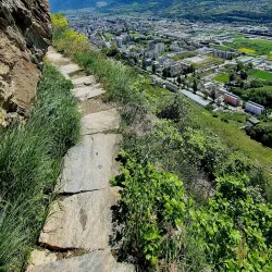 Mont d'Orge Nature Reserve - Sion