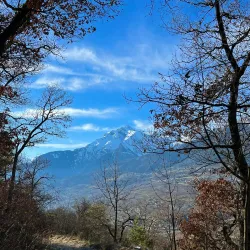 Mont d'Orge Nature Reserve - Sion