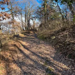 Mont d'Orge Nature Reserve - Sion
