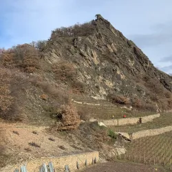 Mont d'Orge Nature Reserve - Sion