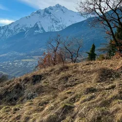 Mont d'Orge Nature Reserve - Sion