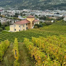 Mont d'Orge Nature Reserve - Sion