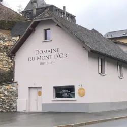 Vineyards of Valais - Sion