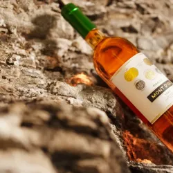 Vineyards of Valais - Sion