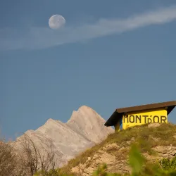 Vineyards of Valais - Sion