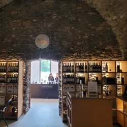 Vineyards of Valais - Sion