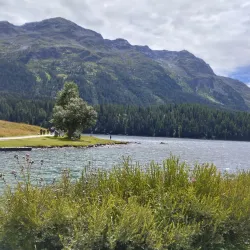 Corviglia Ski Resort - St. Moritz