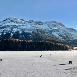 Lake St. Moritz - St. Moritz