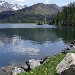 Lake St. Moritz - St. Moritz