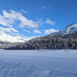 Lake St. Moritz - St. Moritz