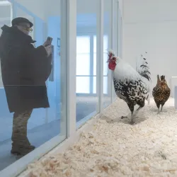 Museo Etnografico di Stabio - Stabio