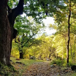 Sentiero del Malcantone - Stabio