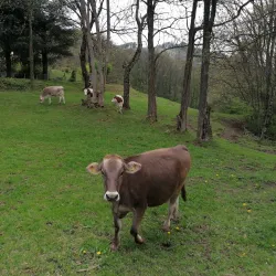Sentiero del Malcantone - Stabio